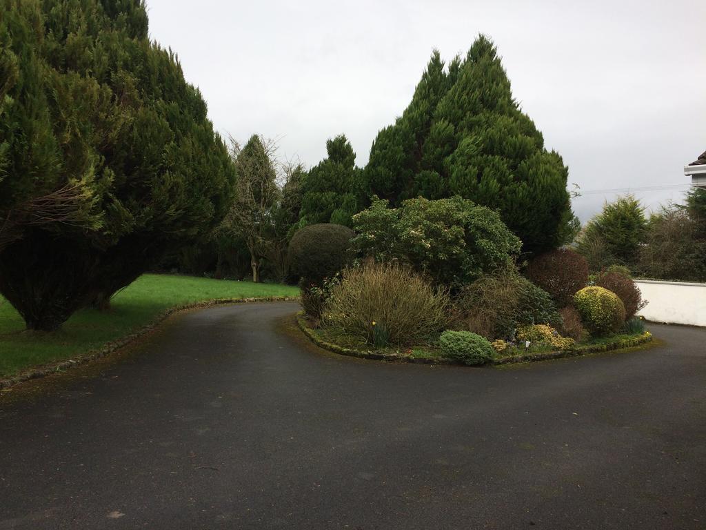 Palm Grove B&B Cashel (Tipperary) Exterior foto