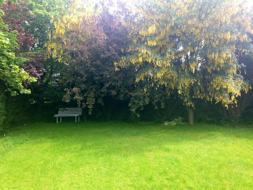 Palm Grove B&B Cashel (Tipperary) Cameră foto